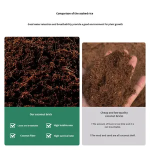 <span class=keywords><strong>Terriccio</strong></span> in Mattoncini di Cocco, Fertilizzante Composto all'Ingrosso per <span class=keywords><strong>Piante</strong></span> Succulente e Ortaggi, Uso Domestico - Product Image 3