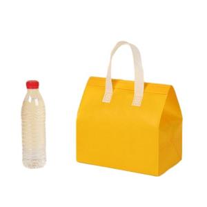 Hot Sale Disposable Cool Thermal Bag Large Cooler Bag Folding Non Woven Cooler Bag - Product Image 1