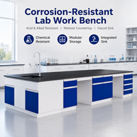 Banco da Laboratorio Modulare in Legno Resistente alla Corrosione e agli Acidi, con Lavello e Rubinetto