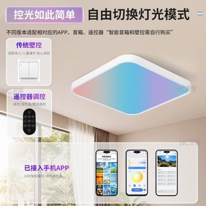 Ceiling Mirror <b>Light</b> <b>Led</b> Remote Control 98 CRI Living <b>Room</b> Bedroom Lighting Full Spectrum Color Gamut Sky Ceiling <b>Light</b> - Product Image 4