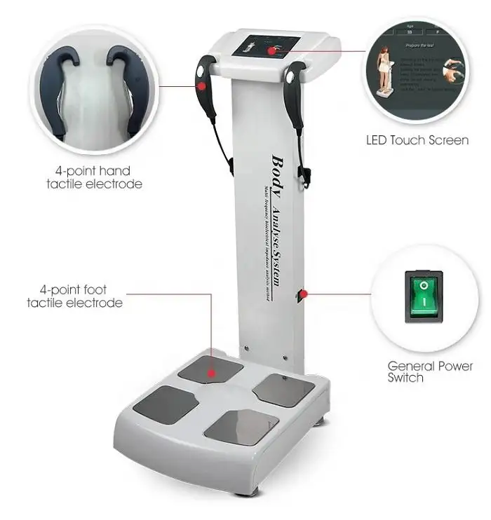 New Arrival Body Composition Analyzer Messen Sie Fett muskel wasser Best Professional Body Composition Analysis Scale Genauigkeit