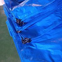 Lona Impermeable de Polietileno para Cubrir Techos de Carpas de Camping y Toldos de Automóviles