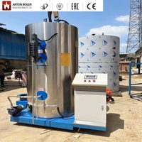 Chaudière à vapeur au charbon de bois de 0,3 à 0,5 tonne, machine de production de vapeur à biomasse bois LHS
