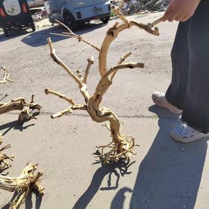 Grand support d'escalade en bois pour aquarium moderne, décorations et ornements irréguliers en rotin naturel, rhododendron et chèvrefeuille - Product Image 4