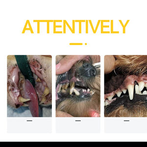 खराब सांस के लिए 2025 सुपर नरम रबर पालतू कुत्ते उंगली के दांत ब्रश के लिए कुत्ते और बिल्ली की आपूर्ति - Product Image 5