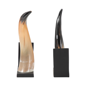 Fermalibri in Resina a Forma di Corno, Decorazione Scultorea Moderna per Esposizione su Libreria - Product Image 4