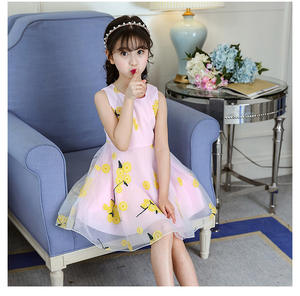 Robe Tutu Style Vintage pour Filles, Robe de Princesse en Dentelle à Fleurs Brodé pour l'Été, Vente en Gros en Ligne - Product Image 5