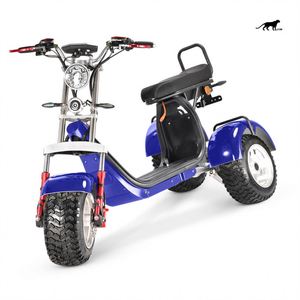 Motor de cubo de Taxi de 10 pulgadas, triciclo eléctrico de 3 pasajeros a la venta - Product Image 5