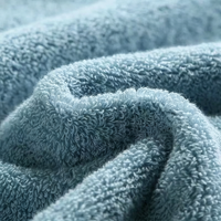 Hotel Quality 100% Cotton Eco-Friendly Antimicrobial Quick-Dry Embroidered Solid Color Adult Customizable Bath Towels Towel
