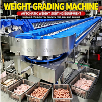 Automatische Weegschaal Sorteermachine SUS304 Garnalen Kip Vis Fruit Sorteerapparatuur 8000 stuks/uur Hoge Precisie Sorteerder