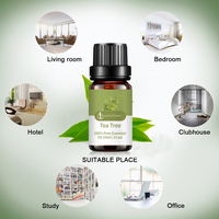 Huile Essentielle 100% Pure et Biologique de Feuilles d'Eucalyptus, Parfum Terrestre, Croissance des Cheveux, Bien-être, Rajeunissement, Aromathérapie, Purifie l'Air