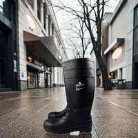Chaussures de sécurité Delta Plus AMAZONE S5 SRA, bottes industrielles imperméables en PVC, utilisation été, hiver et automne