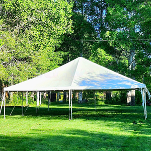 Carpa Blanca Impermeable para Bodas con Paredes Laterales Transparentes, Ideal para Fiestas, Cumpleaños en el Jardín, 6x9m, Carpas para Eventos - Product Image 6