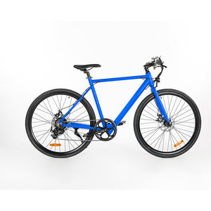 ZODIN babymaker adulte urbain 36V vélo électrique porte entraînement par courroie vélo électrique urbain - Product Image 1