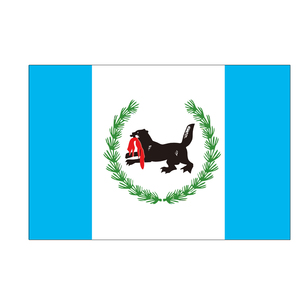 Vente flash - Drapeau personnalisé avec logo, conception promotionnelle, bannières à double couture, drapeau de l'Oblast d'Irkoutsk, drapeaux de 3x5 pieds, sujets fédéraux, Russie - Product Image 3