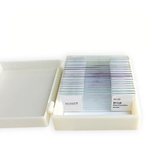 Giáo dục Nguồn cung cấp 20 loại vi khuẩn vi trùng Microbe chuẩn bị Kính hiển vi Slide cho giảng dạy Tài Nguyên - Product Image 1