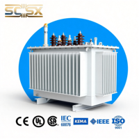 Transformador de Potencia Reductor de Tensión de 11kV 33kV 220kV 132kV a 480V 220V, 100kVA 200kVA, Trifásico, Sumergido en Aceite, Transformador de Distribución
