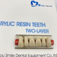 Dents en résine acrylique prothèse dentaire à deux couches dents antérieures