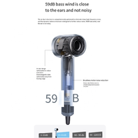 Sèche-cheveux électrique BLDC haut de gamme 110000rpm 200 millions d'ions négatifs Sèche-cheveux professionnel à moteur sans balais à grande vitesse