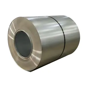 Galvanized Steel Coil Regular Spangle Prime Hot Di Price Per Ton Ppgi Plate Mm30 Iron