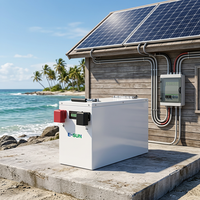 Baterai Lithium E-SUN 100ah 200ah 280ah Tahan Lama 8000+ Siklus 12V 24V Paket Baterai LiFePO4 untuk Sistem Penyimpanan Energi Surya Rumah Tangga