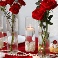 Vase en verre transparent à tube droit, haut de gamme, pour arrangement de fleurs fraîches hydroponiques, design minimaliste, soufflé à la main, décoratif