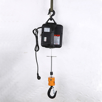 Nouveau Mini palan à câble électrique Portable 500kg 110V/220V télécommande Protection IP54 1 an de garantie