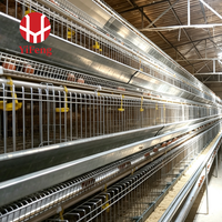 Cage à poules pondeuses automatique de type A à 3 niveaux avec abreuvoir à tétine, système d'évacuation du fumier et collecte des œufs, équipement pour ferme avicole