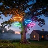 Lampes à roue en fer Moonlight avec télécommande, angle de faisceau de 360°, étanches IP65, pour l'éclairage festif extérieur du jardin