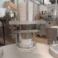 Volledig automatische yoghurtvul- en verzegelmachine, plastic beker zuiger ijsvloeistof draaiplateau gelei yoghurt water