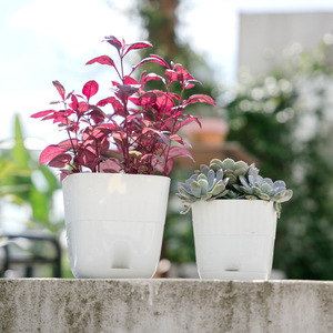 Thickened Plastic Succulent And Cactus Planter 12cm 15cm Diameter With Drainage Hole For Desktop Use - Product Image 2
