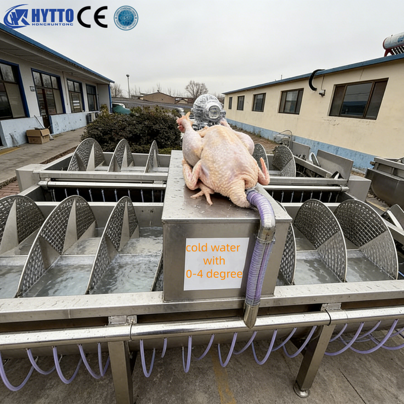 Complete Chicken Slaughtering Line Poultry Slaughter