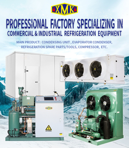 14HP 4NES-14 minus25 Unidad de condensación de enfriador de cámara fría Original Bitzer China Compresor semihermético refrigerado por aire R509 380V - Product Image 5