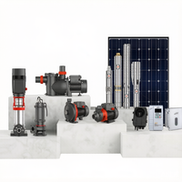 Pompe solaire submersible hybride AC/DC, débit max. 4,8 m³/h, hauteur de refoulement max. 203 m, pompe à eau pour puits profond (panneau solaire non inclus)