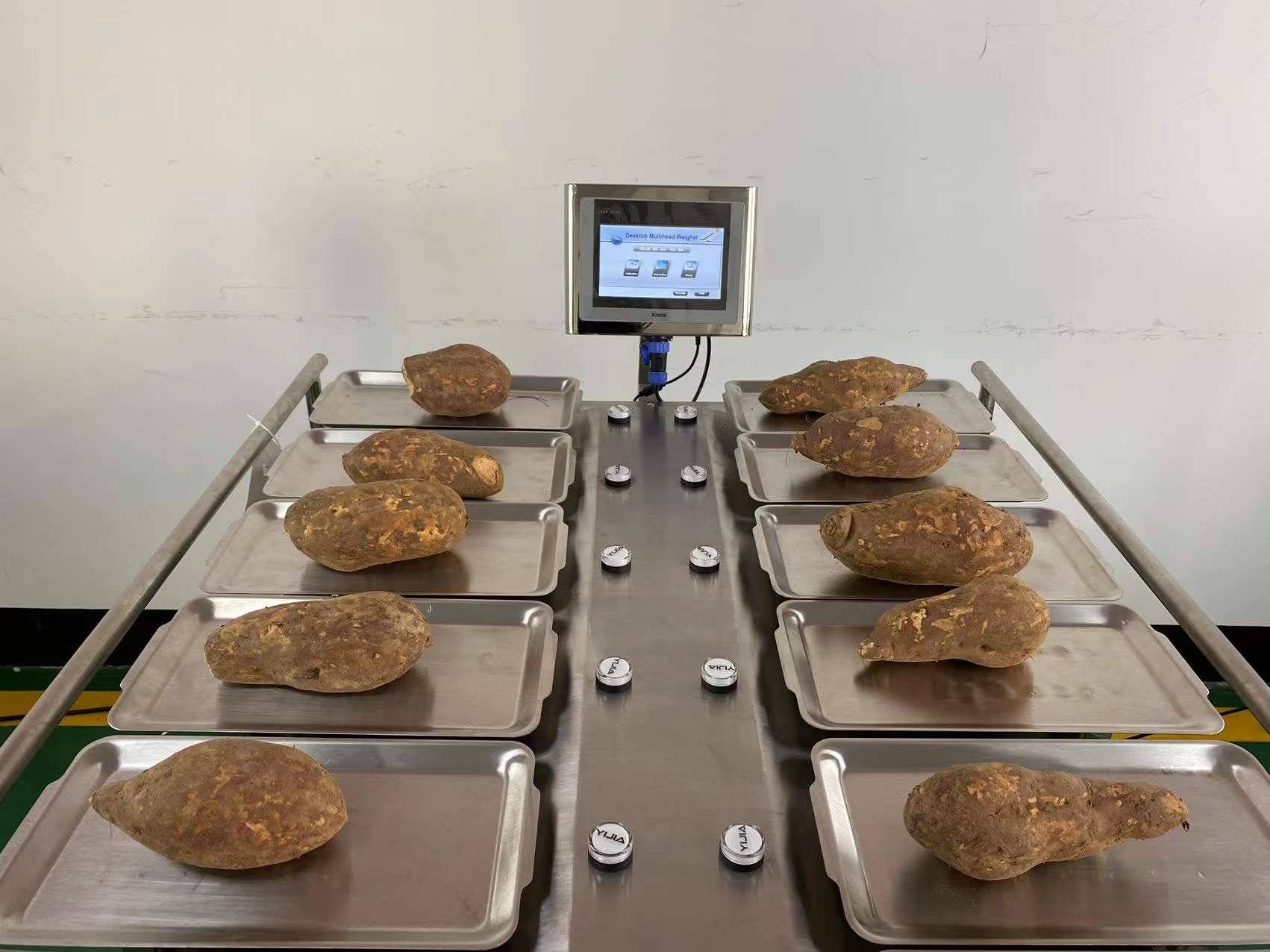 Полуавтоматические весы с ручным управлением, комбинированные весы для овощей