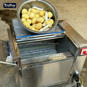 Machine à éplucher industrielle 380V à brosses, laveuse de pommes de terre haute performance pour gingembre, pieds de porc, racine de lotus - Product Image 5