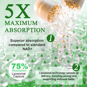 1000MG Nad artı bitkisel özü kapsül Nicotinamide Riboside resververl takviyesi Nicotidamide Y resver120 l kapsül - Product Image 5