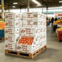 Op maat gemaakte PP golfkartonnen holle doos, stapelbaar, geventileerd, met calciumcarbonaat voor export van vers fruit, koudeketentransport