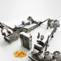Automatische productielijn voor aardappelchips met roestvrijstalen gaasbandtransportband voor hygiënische verwerking met hoge productiviteit