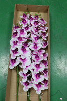 Plante artificielle en plastique de haute qualité, orchidée Phalaenopsis en spray – Fabrication moderne du Guangdong pour la décoration du Nouvel An, de la Fête des Pères et de Noël