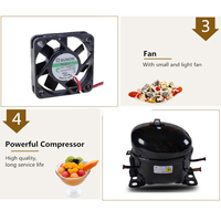 Bain-Marie Électrique Commercial de Comptoir en Acier Inoxydable pour Buffet, Fast-Food et Restaurant – Chauffe-Plats Professionnel