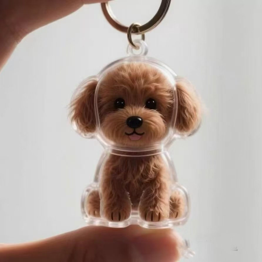 Teddy