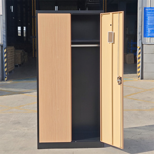 <span class=keywords><strong>Casier</strong></span> en métal multifonctionnel Offre Spéciale armoire en fer moderne en acier <span class=keywords><strong>pour</strong></span> le nettoyage placard atelier centre commercial hôtel salle de sport application de blanchisserie - Product Image 3