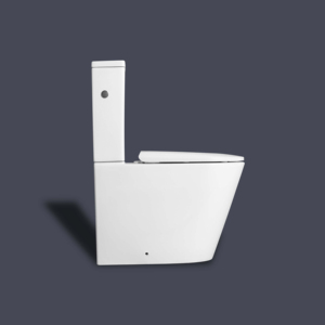 Two Piece Toilets Rimless <strong>Flushing</strong> for Mid-High End Market Tornado WC <strong>Geberit</strong> <strong>Flushing</strong> Fitting - Product Image 2