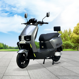 Skuter Listrik Radiwin 2 Roda Duduk, Kecepatan 45-50 Mph, Motor Off-road Dewasa, Pengiriman Gratis, Beli Sekarang dengan Ban Tebal di Cina - Product Image 6