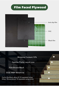 Panneau de contreplaqué filmé PVC vert 18 mm 4*8 pieds, contreplaqué stratifié 12 mm pour la <span class=keywords><strong>construction</strong></span> en <span class=keywords><strong>bois</strong></span> et les panneaux en béton - Product Image 6