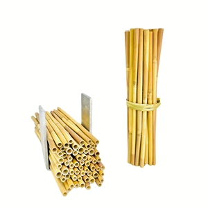 Pailles à roseau bio durables, sûres et à usage unique pour toutes les boissons au meilleur prix - Product Image 3