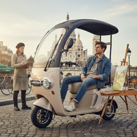 Vélo électrique à trois roues Holladay à batterie longue durée, carrosserie ouverte, tricycle électrique OEM pour le transport et les passagers