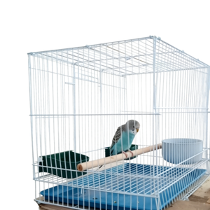 Grande cage à oiseaux domestique en métal pour perroquets, oiseaux peau de tigre, oiseaux pivoine, pigeons d'élevage et oiseaux à yeux apparents - Product Image 5