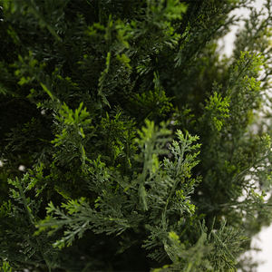 Árbol de Ciprés Artificial Alto, Colección de Árboles de Boj, Cedro y Hierba, Duradero, Realista, Ecológico, Resistente a los Rayos UV, Plástico para Interiores - Product Image 4